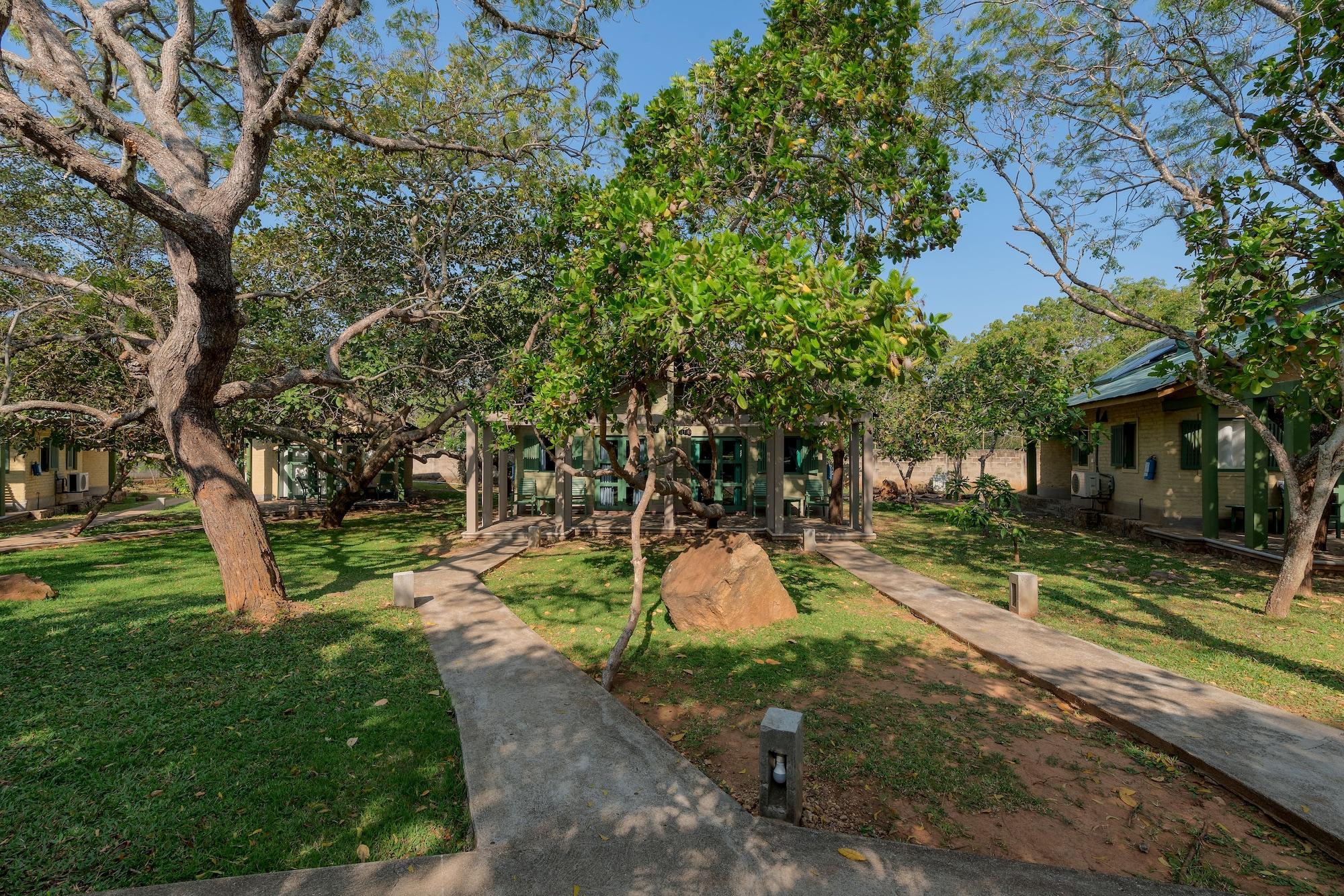 Elephant Reach Yala