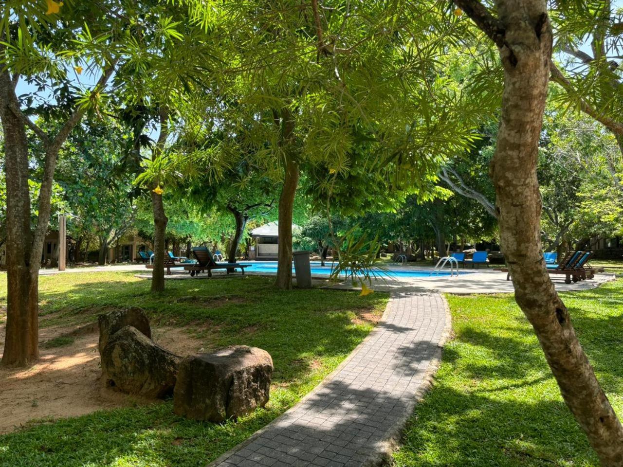 Elephant Reach Yala