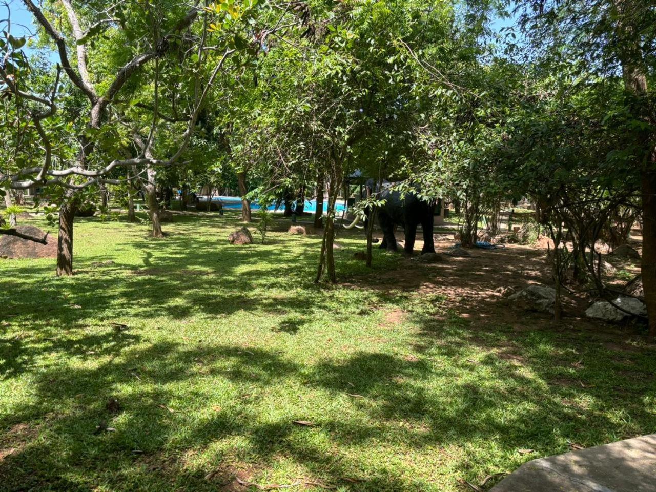 Elephant Reach 4* Yala
