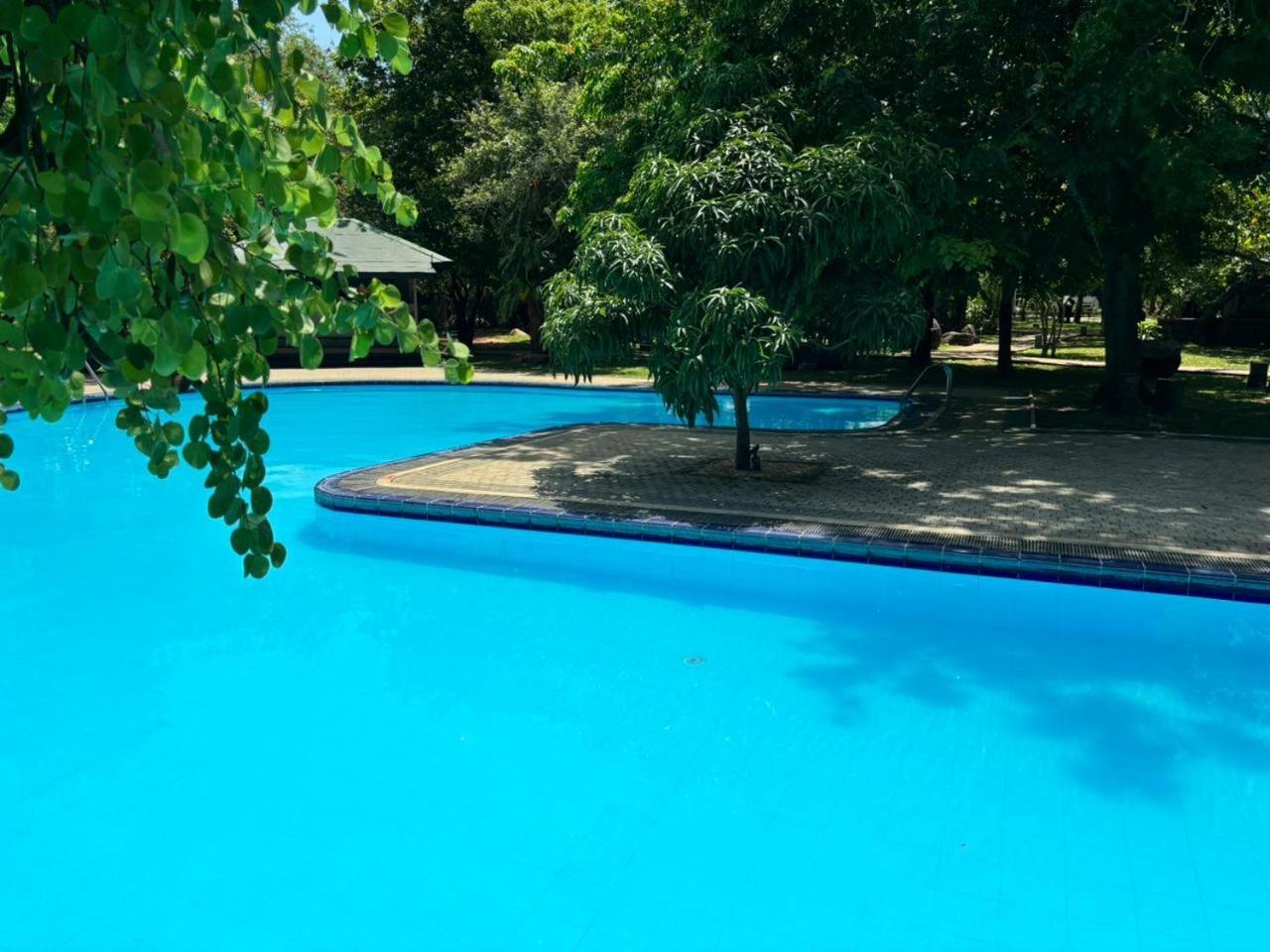 Elephant Reach 4* Yala