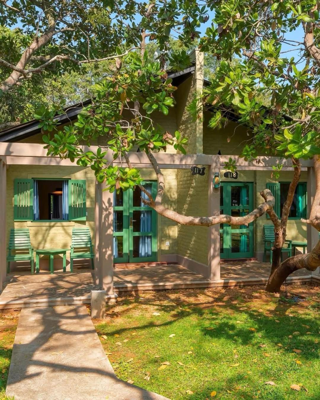 Elephant Reach Yala